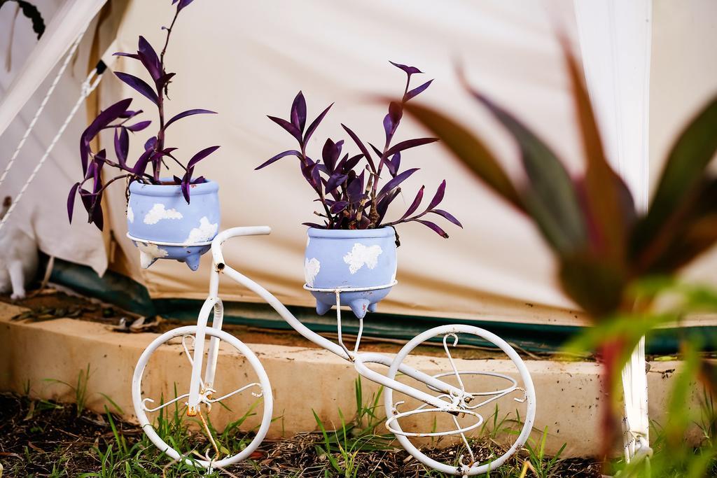 Harmony Glamping Boutique Hotel And Yoga Тулум Номер фото